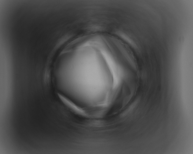 X0000100931309200807081204