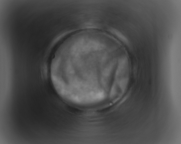 X0000100931310200807081204