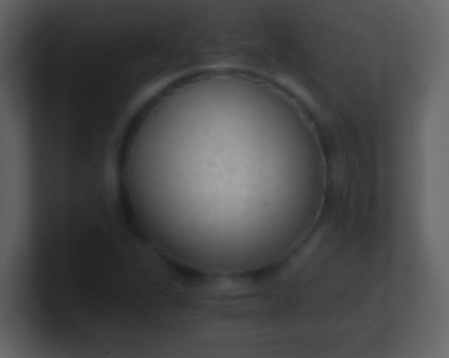 X0000100931311200807081204