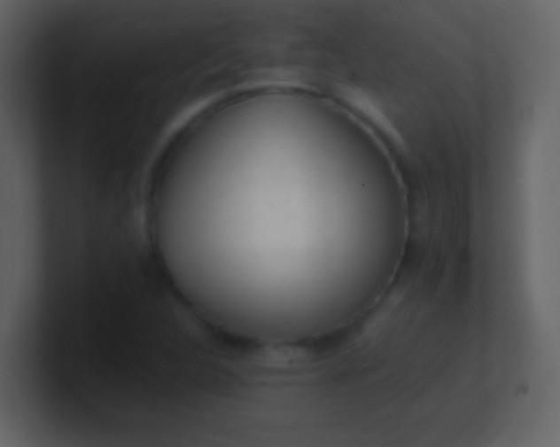 X0000100931312200807081204