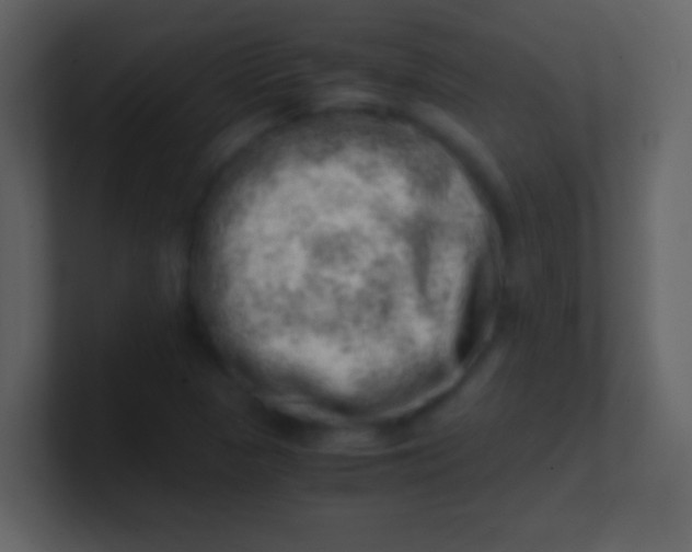 X0000100931313200807081204