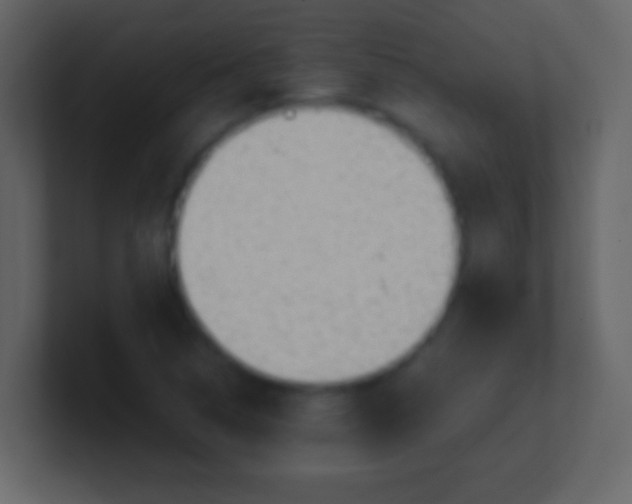 X0000100931314200807081204