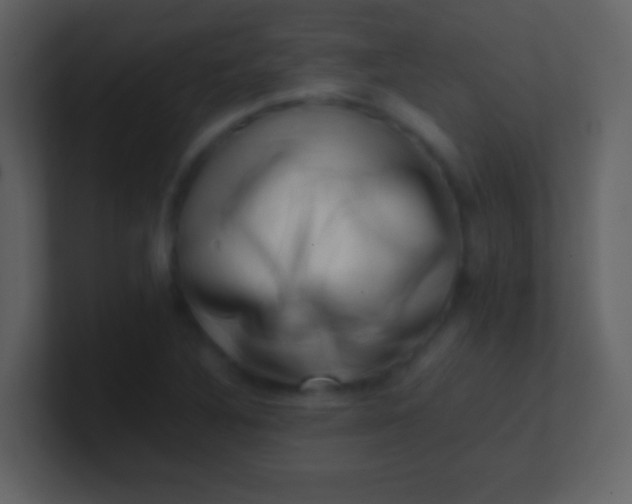 X0000100931316200807081204