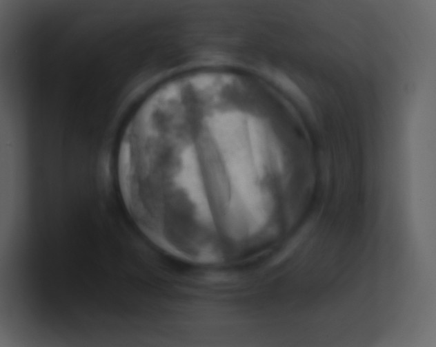 X0000100931318200807081204