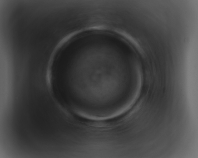 X0000100931319200807081204