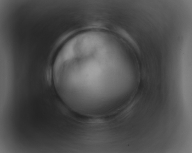 X0000100931320200807081204