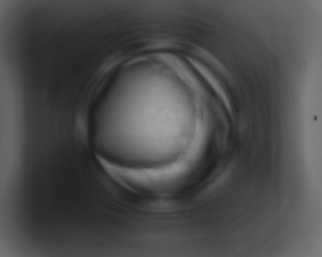 X0000100931321200807081204