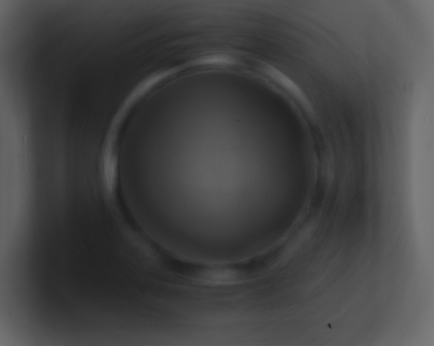 X0000100931323200807081204