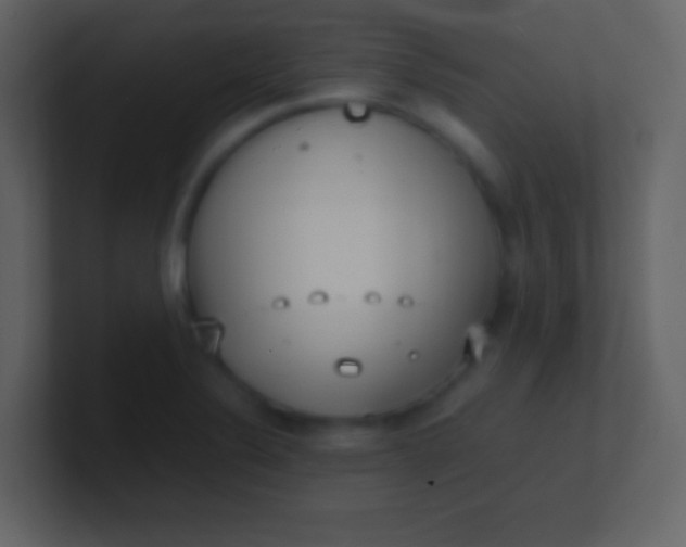 X0000100931324200807081204