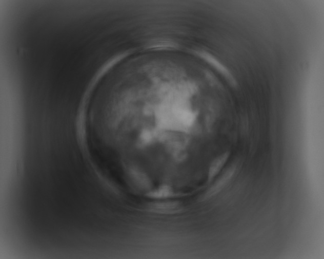 X0000100931325200807081204