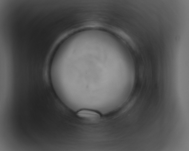 X0000100931326200807081204