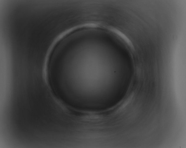 X0000100931327200807081204