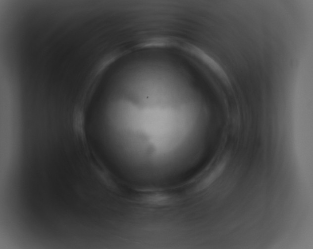 X0000100931329200807081204