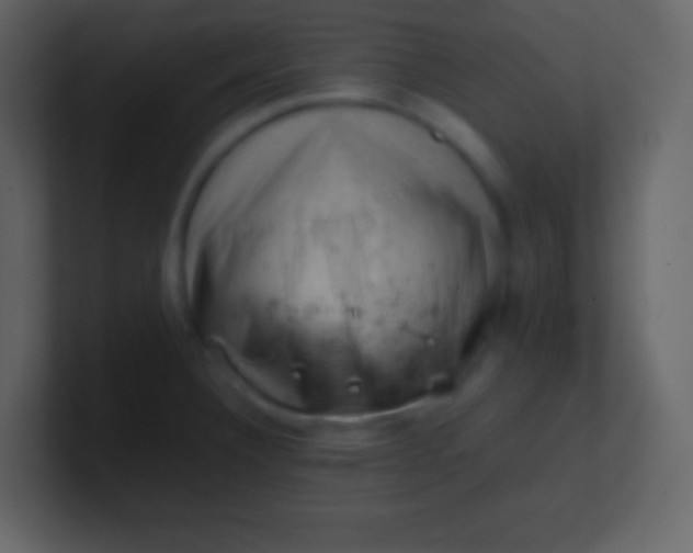 X0000100931332200807081204