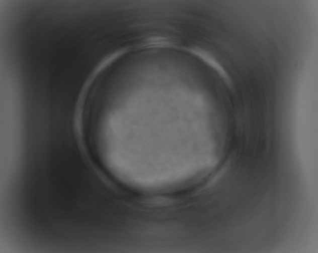 X0000100931333200807081204