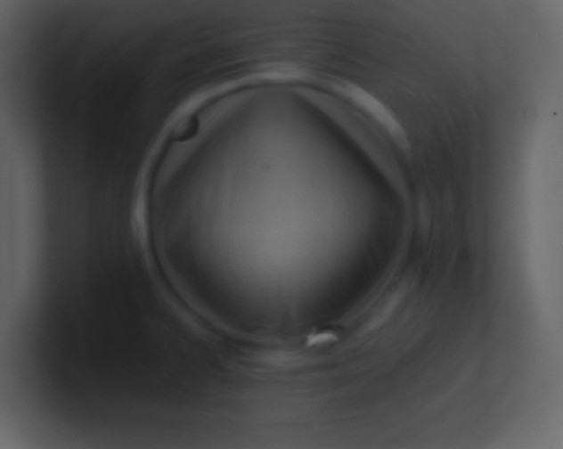 X0000100931334200807081204