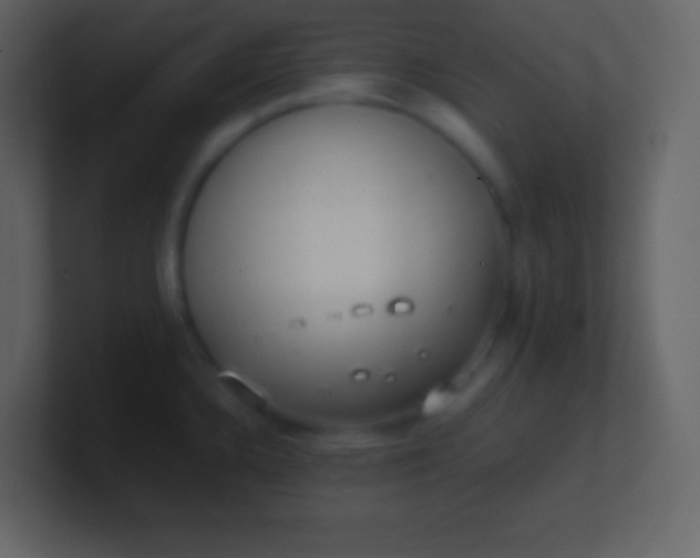 X0000100931336200807081204