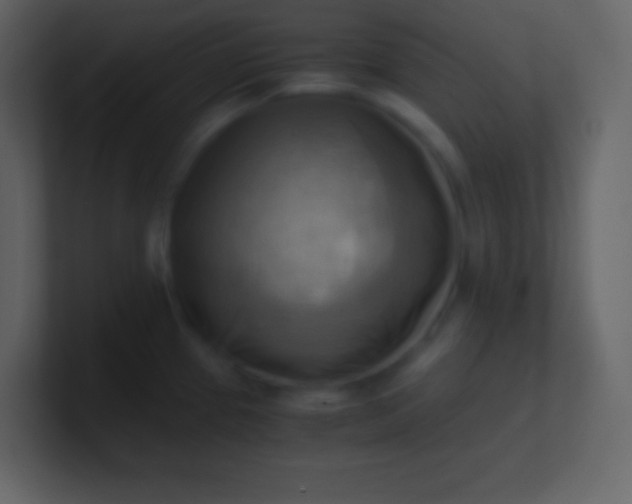 X0000100931337200807081204