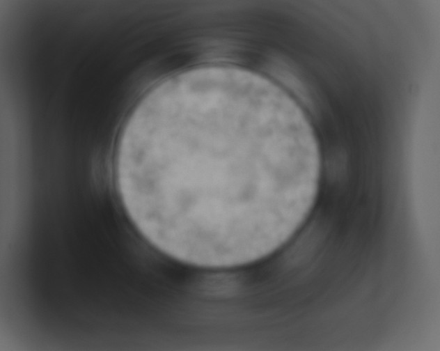 X0000100931338200807081204