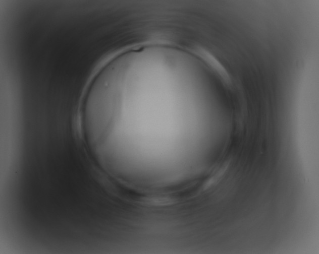 X0000100931340200807081204