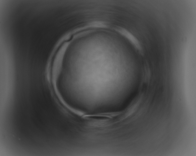 X0000100931342200807081204