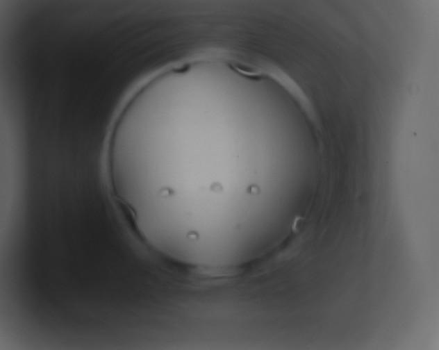 X0000100931344200807081204