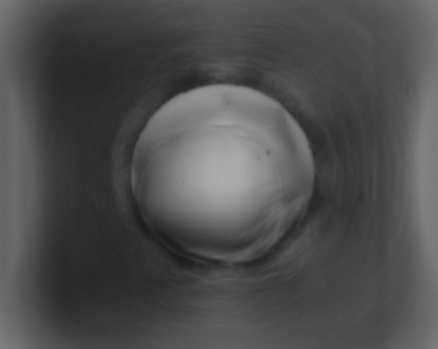 X0000100931345200807081204