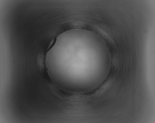 X0000100931346200807081204