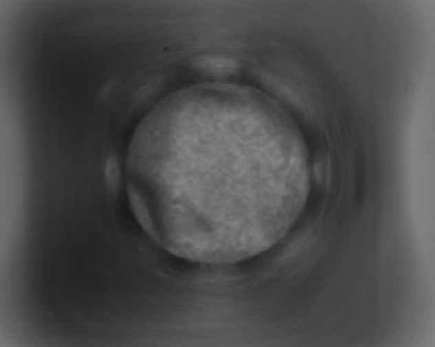 X0000100931347200807081204