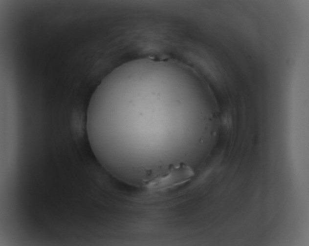 X0000100931348200807081204