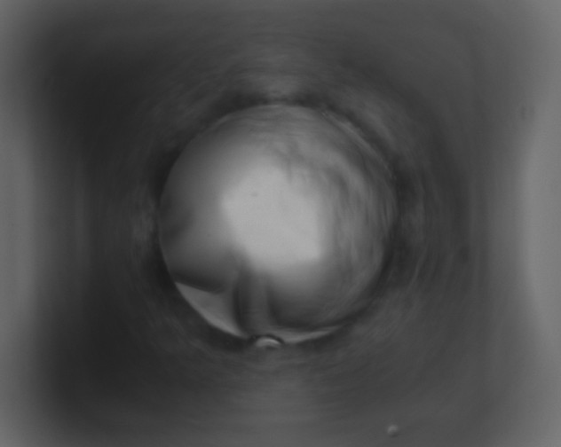 X0000100931349200807081204