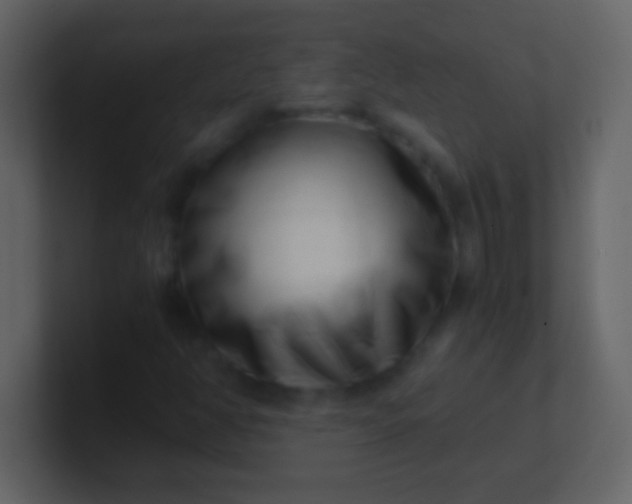 X0000100931350200807081204