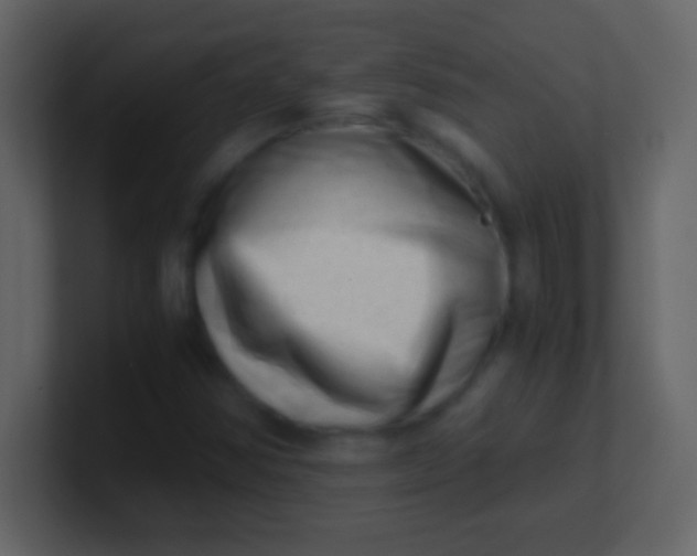 X0000100931354200807081204