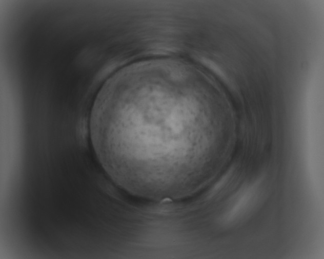 X0000100931355200807081204