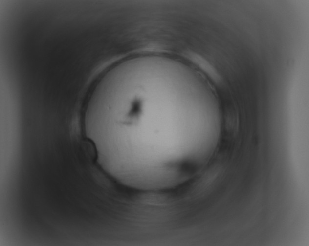 X0000100931356200807081204