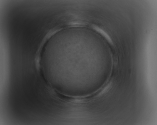 X0000100931357200807081204