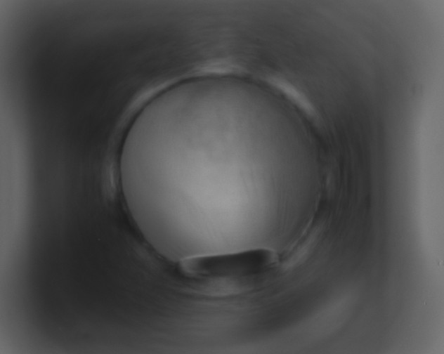 X0000100931358200807081204