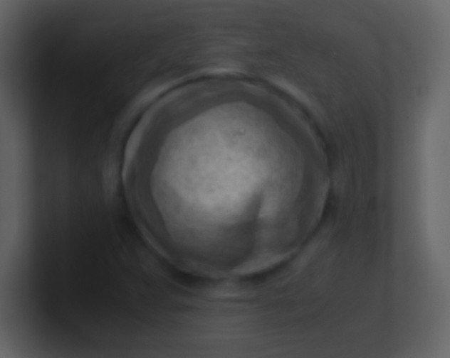 X0000100931359200807081204