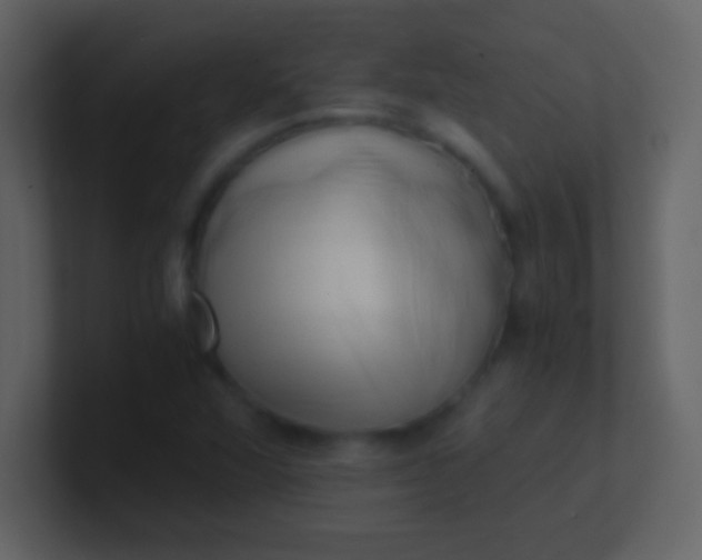 X0000100931360200807081204