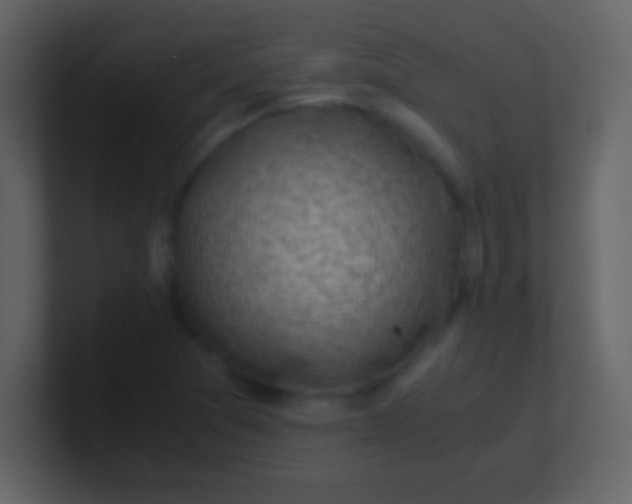 X0000100931361200807081204