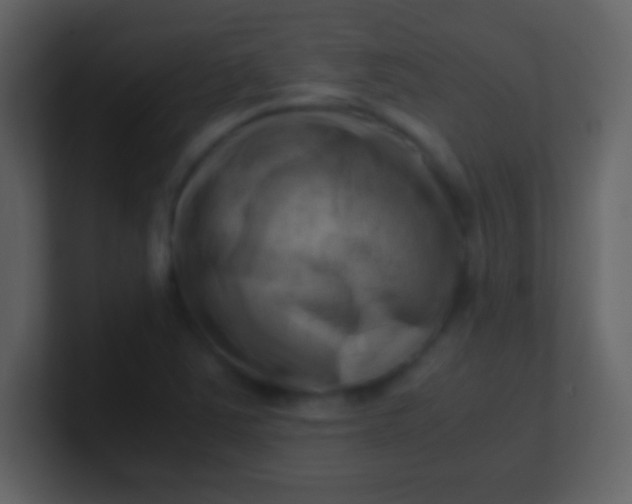 X0000100931363200807081204