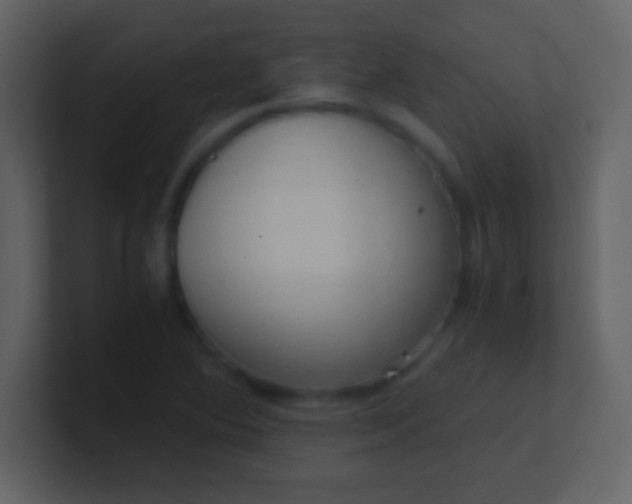 X0000100931364200807081204