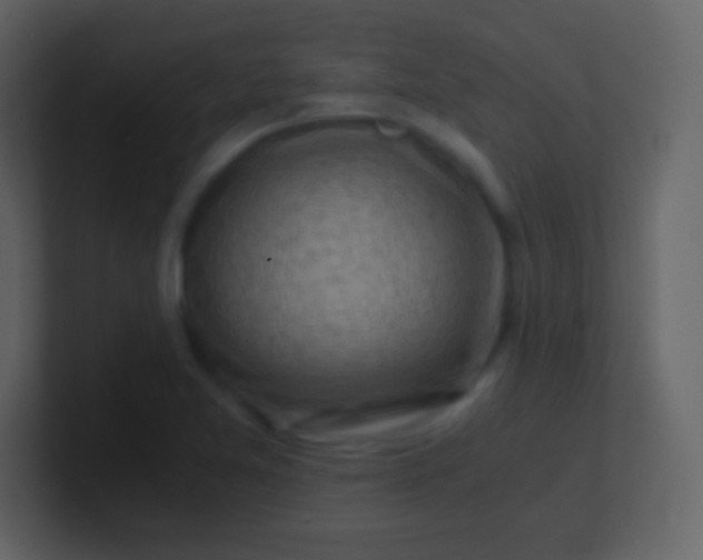 X0000100931365200807081204