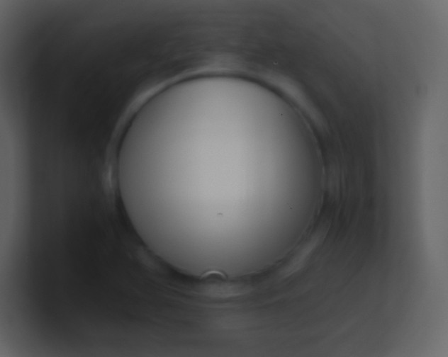 X0000100931366200807081204