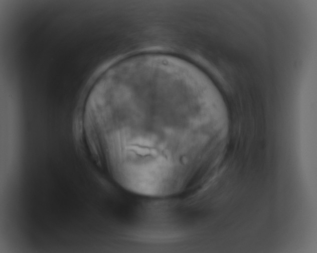 X0000100931367200807081204