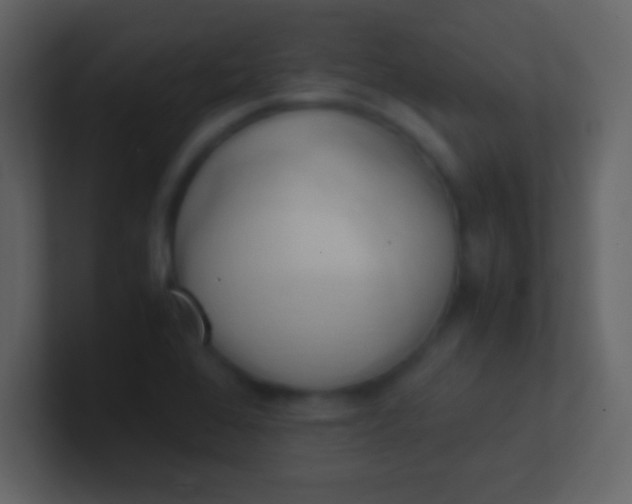 X0000100931368200807081204