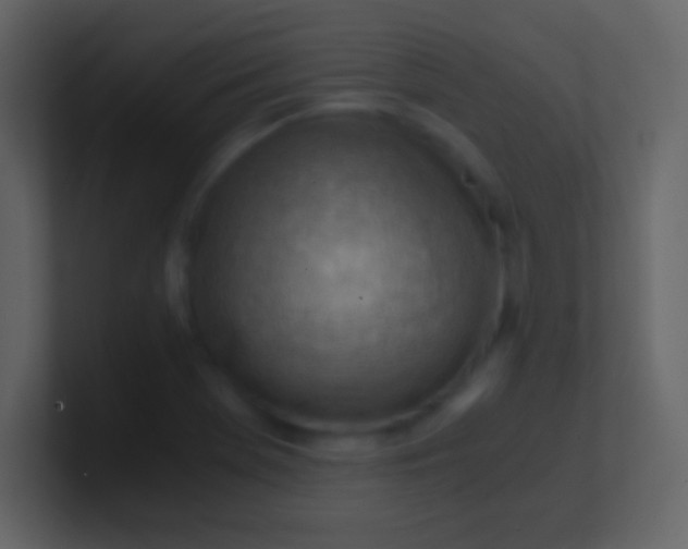 X0000100931369200807081203