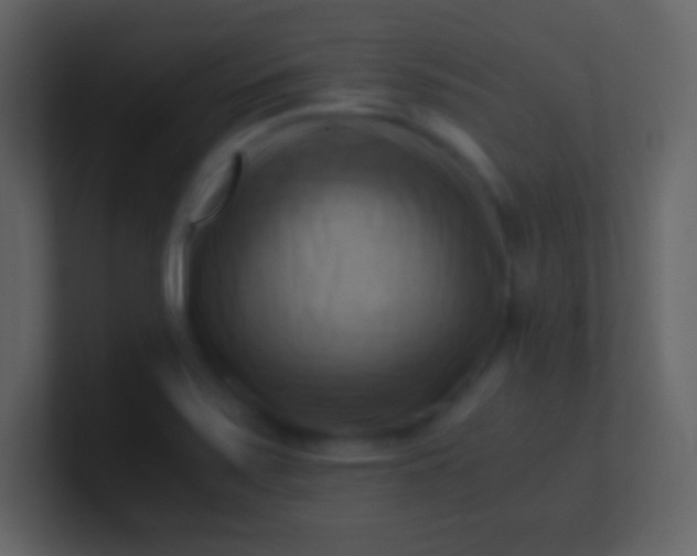 X0000100931371200807081203