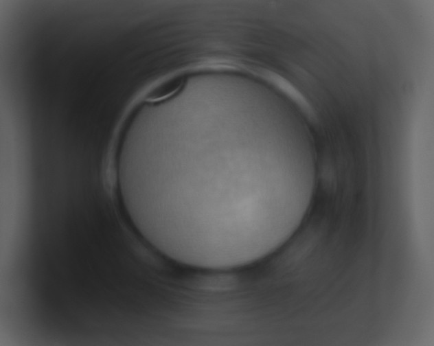 X0000100931372200807081203