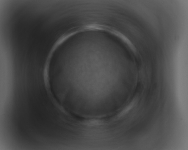 X0000100931373200807081203